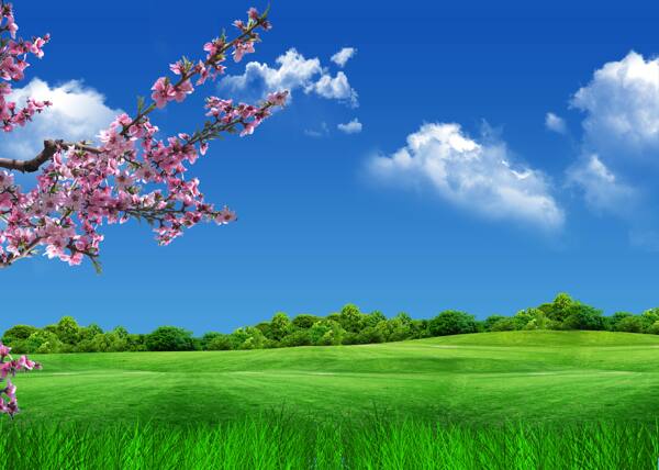自然風(fēng)景圖片