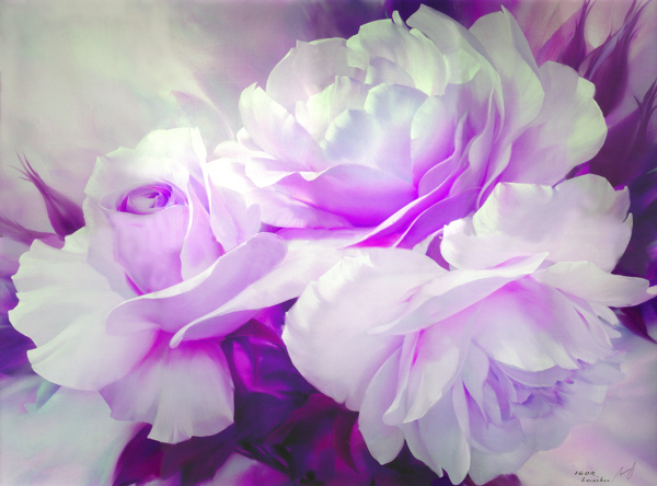 花卉無(wú)框畫(huà)系列圖片