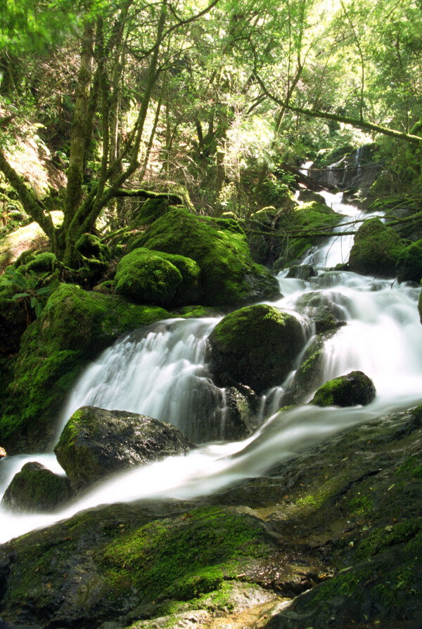 林间小溪瀑布美景图片