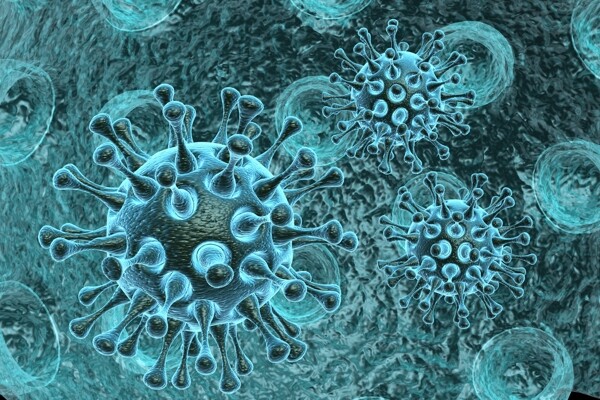 蓝色带刺病毒体细胞图片