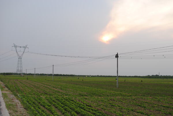 田野圖片