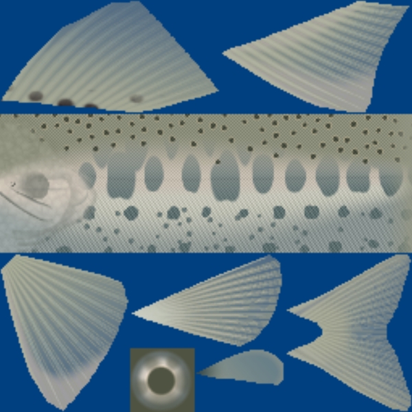 動(dòng)物魚類3d模型動(dòng)植物模型免費(fèi)下載魚類3d素材42