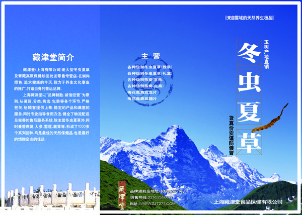 冬蟲夏草三折頁圖片