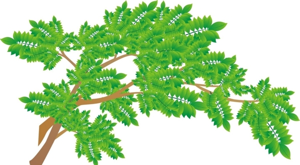 樹枝
