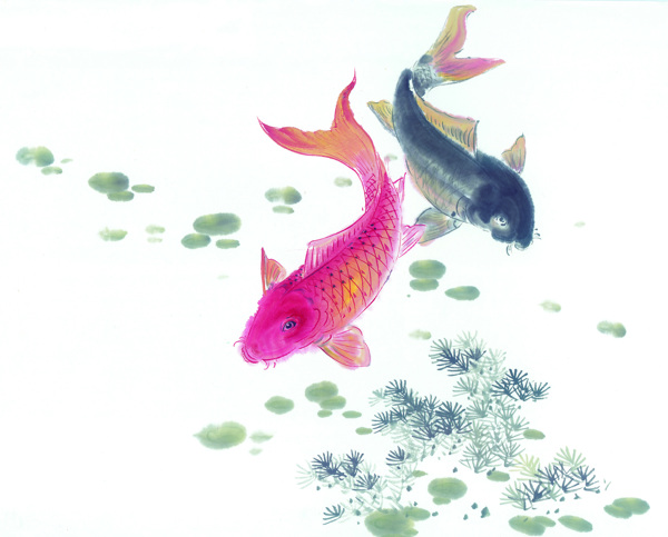 古圖繪畫(huà)動(dòng)物魚(yú)類(lèi)生物
