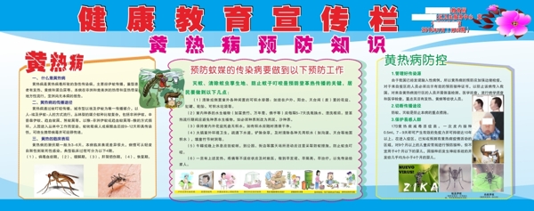 蓮花