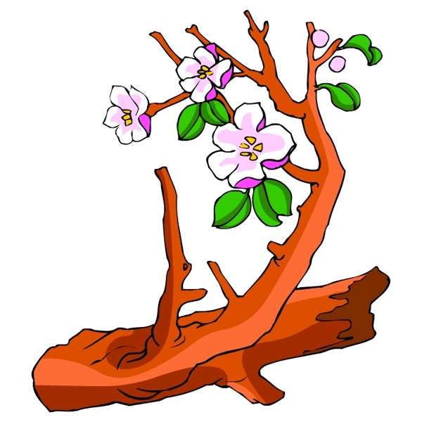 花卉古典插畫