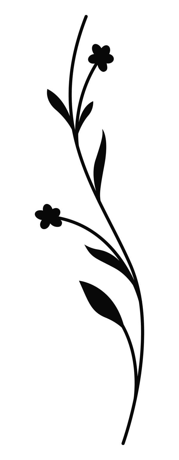 黑色的花形渦流