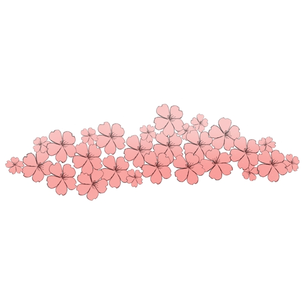 粉色樱花花簇插图