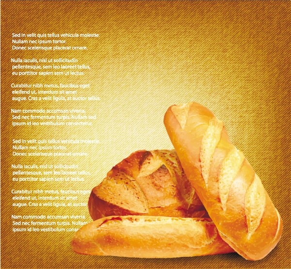 小麦与全麦面包