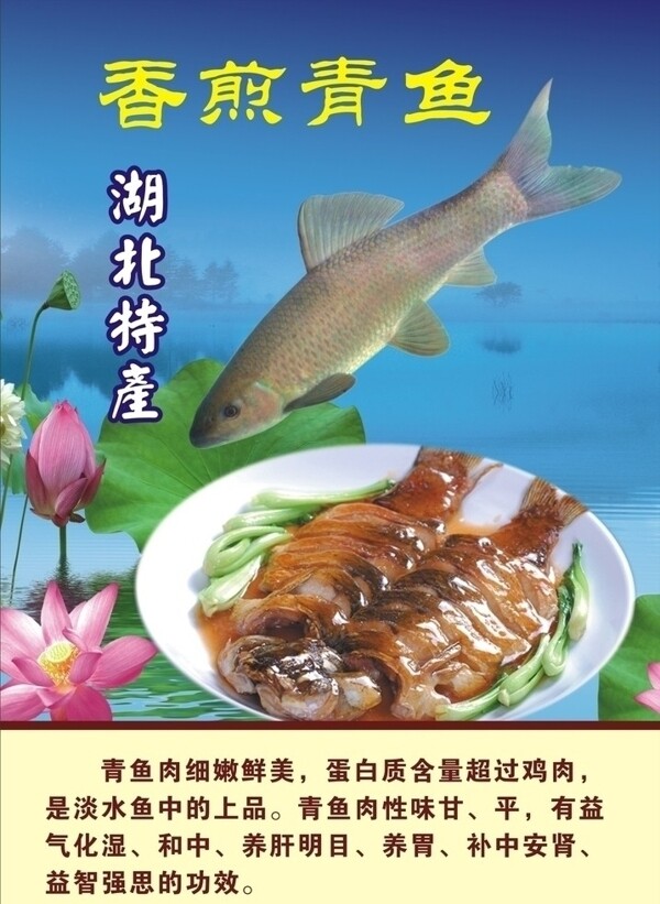 青魚圖片