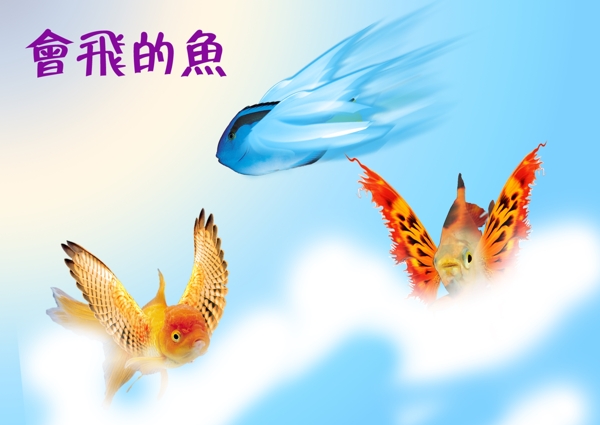 會(huì)飛的魚(yú)圖片