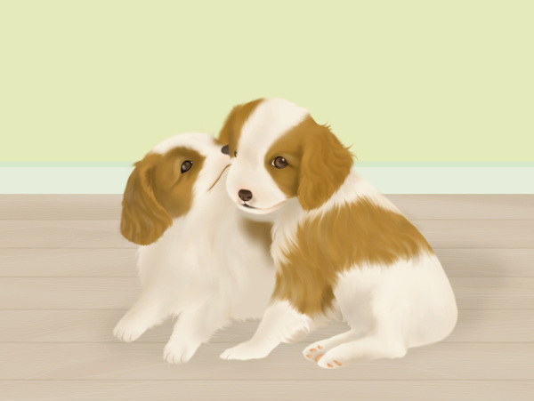 動物合作伙伴