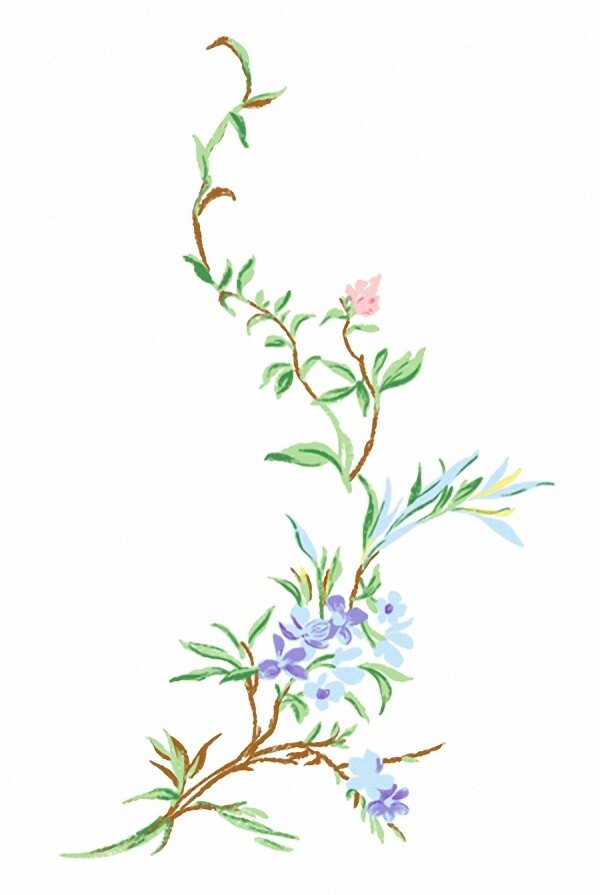 成熟優(yōu)雅女裝T恤圖案毛衫印花優(yōu)雅植物植物免費素材