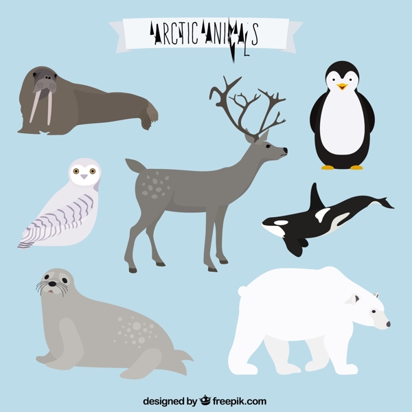 北极动物系列