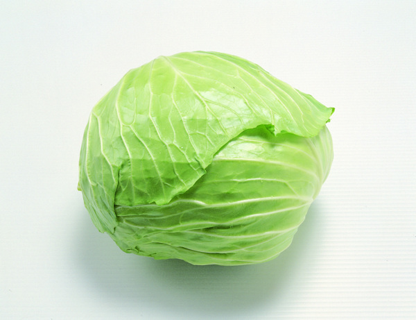 白菜