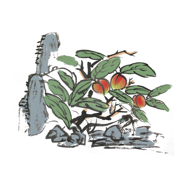 夏天李子水墨手繪插畫