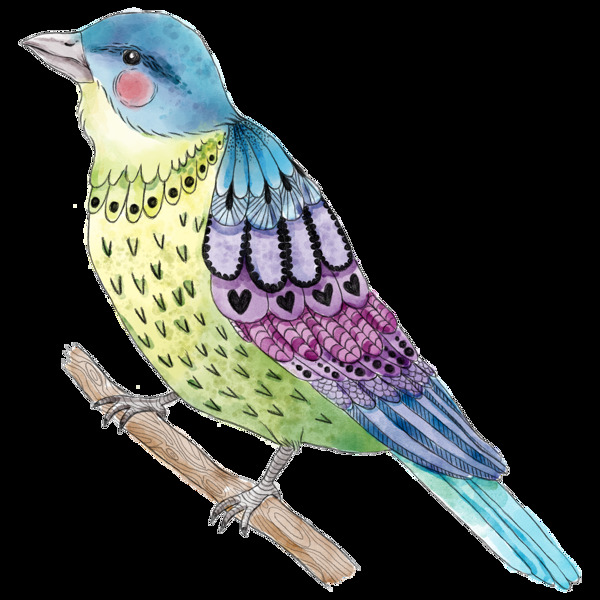 彩绘可爱的小鸟png透明素材