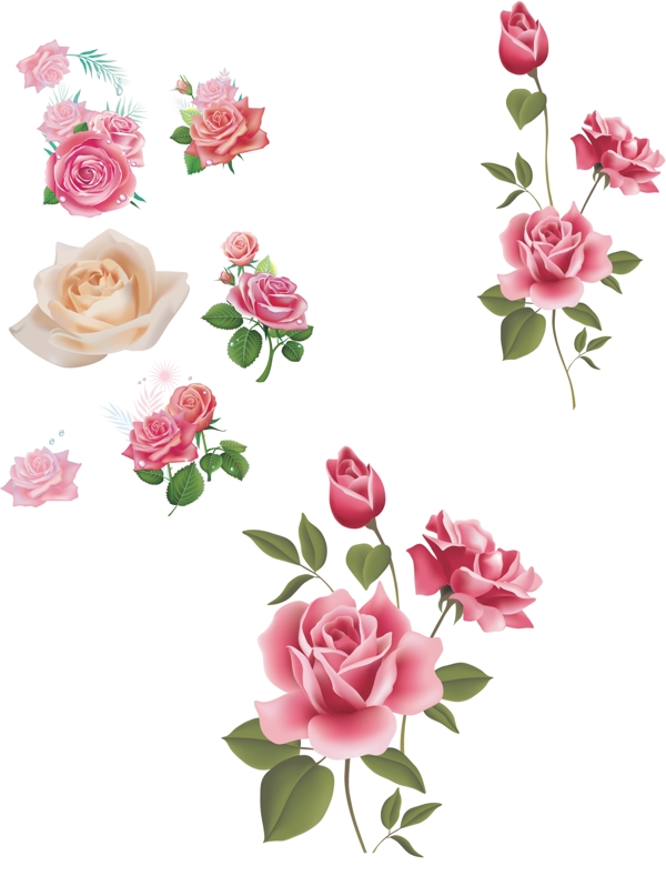花朵圖片
