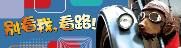 廣告位招租別看我看路萌寵