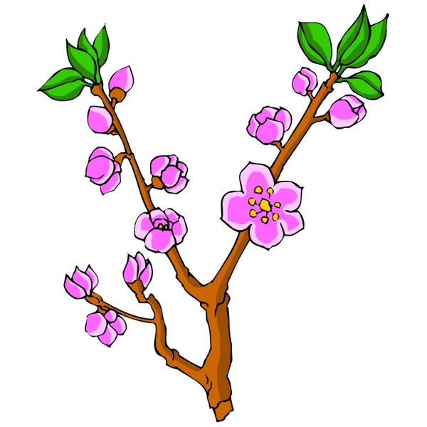 花卉古典插畫