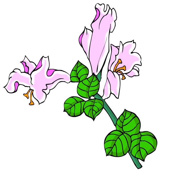 花卉古典插畫