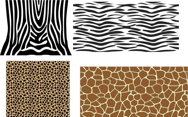 动物皮纹豹纹矢量图图片