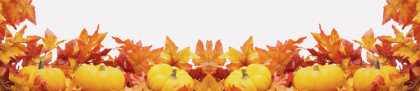 秋季簡(jiǎn)約楓葉背景banner
