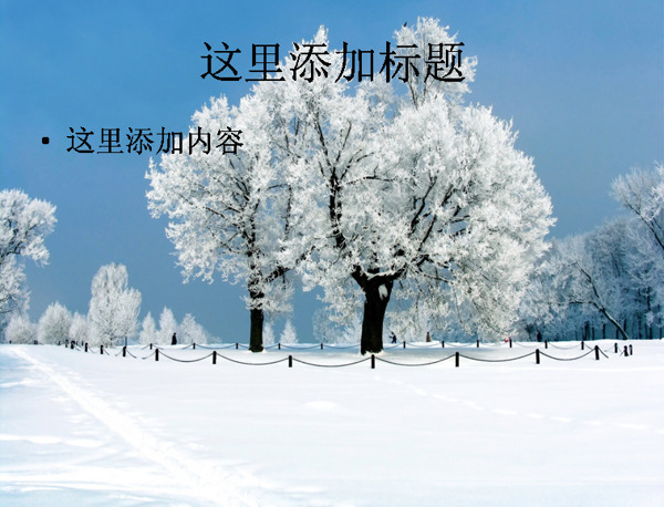 玉树琼枝的美丽雪景高清电脑PPT5