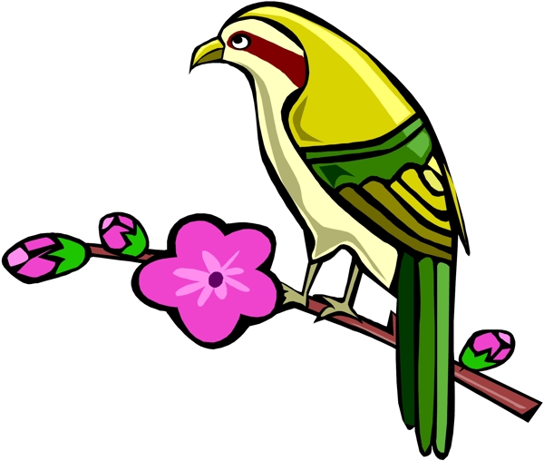 矢量逼真鳥類動(dòng)物102