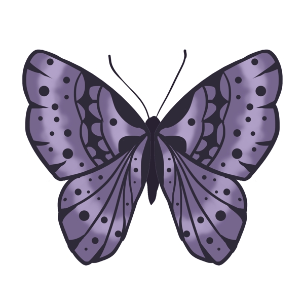紫色动物昆虫蝴蝶