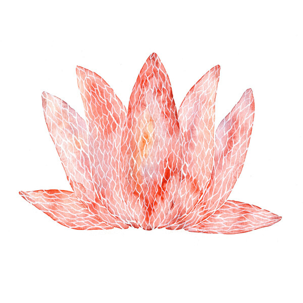 位圖插畫時尚插畫植物插畫藝術(shù)效果免費素材