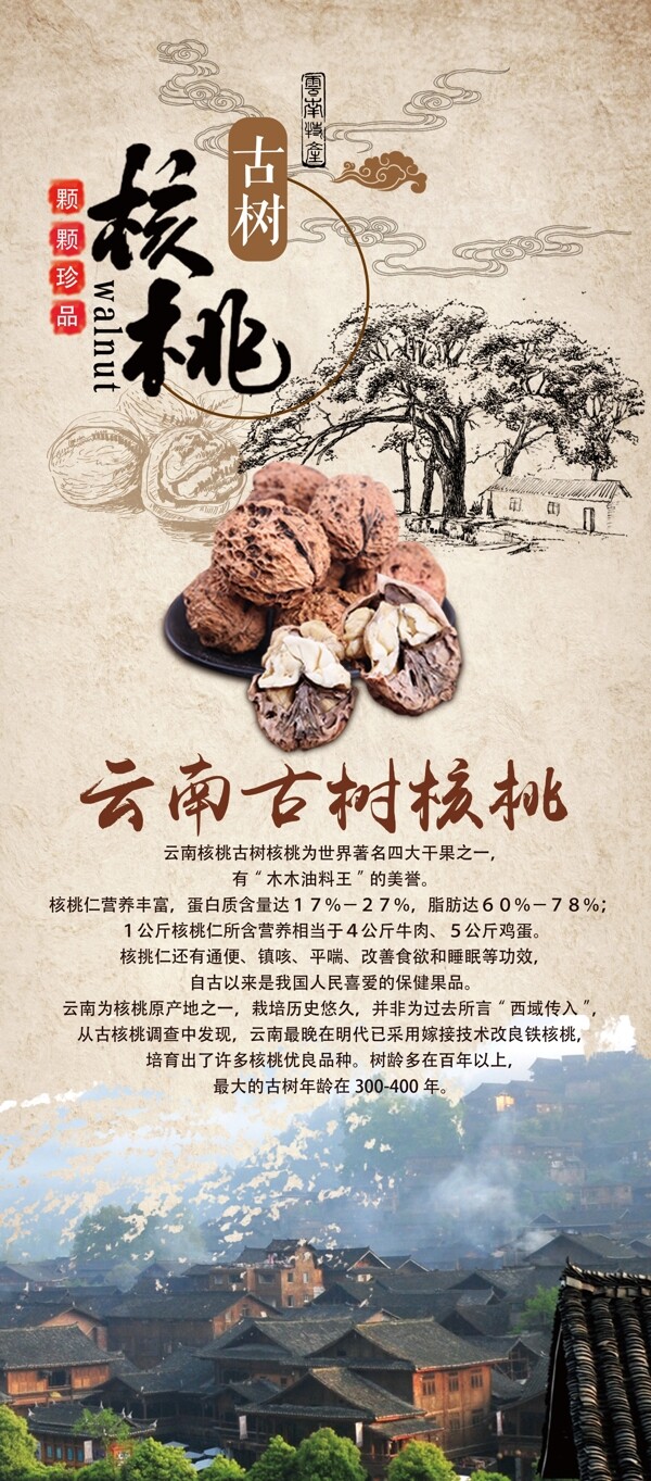 云南古樹核桃展架海報設(shè)計