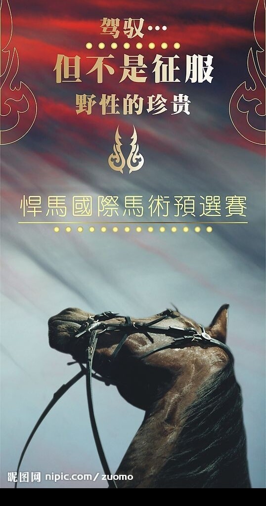 馬術(shù)節(jié)海報圖片
