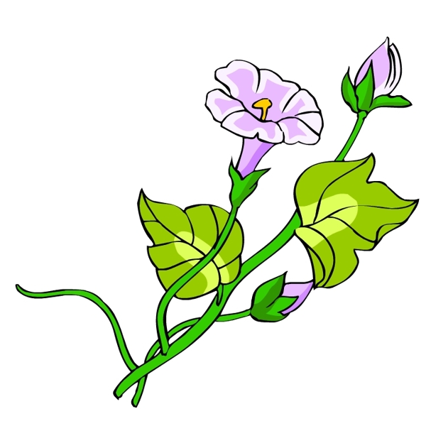 花卉古典插畫