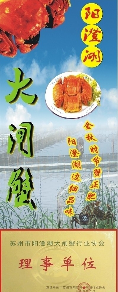 陽(yáng)澄湖大閘蟹