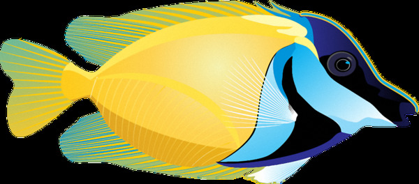 手绘黄蓝色热带鱼免抠png透明素材