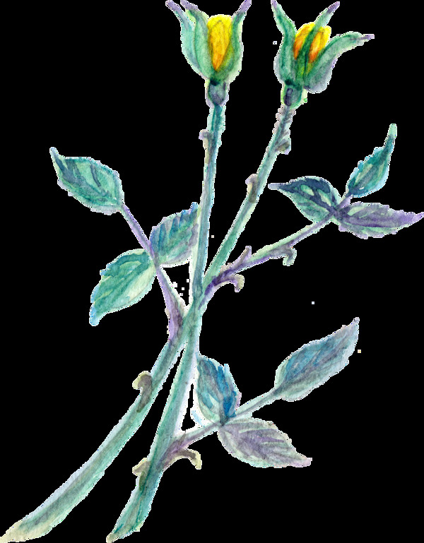 黃秋花枝透明裝飾素材