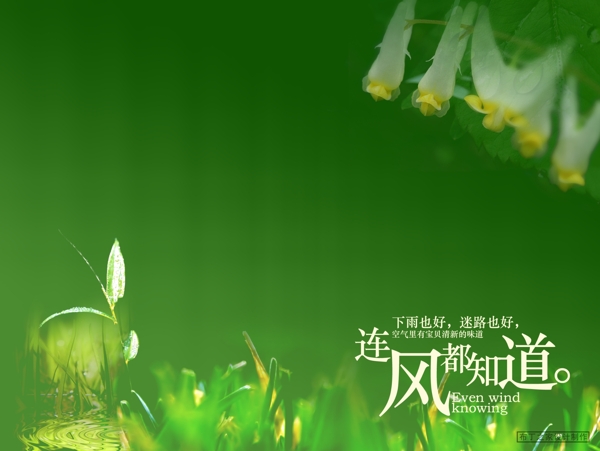 兒童相冊模板圖片