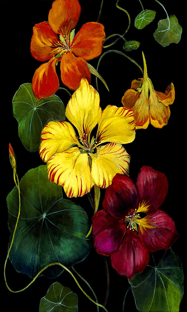 玄關(guān)花紋