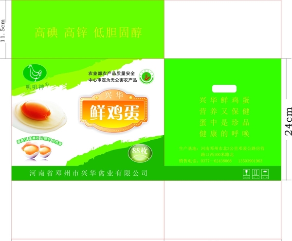 鮮雞蛋圖片