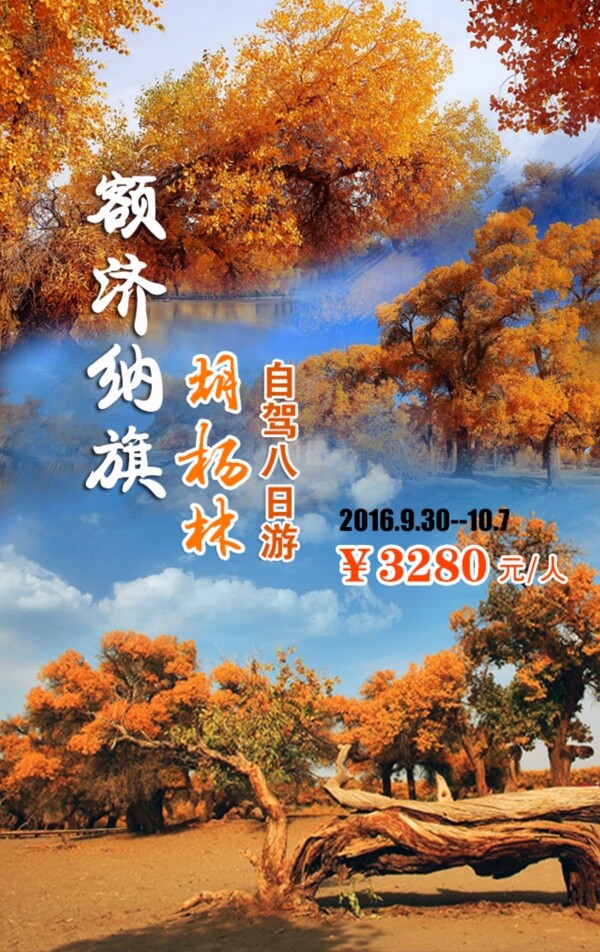 額濟納旗胡楊林自駕游