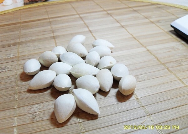 白果圖片
