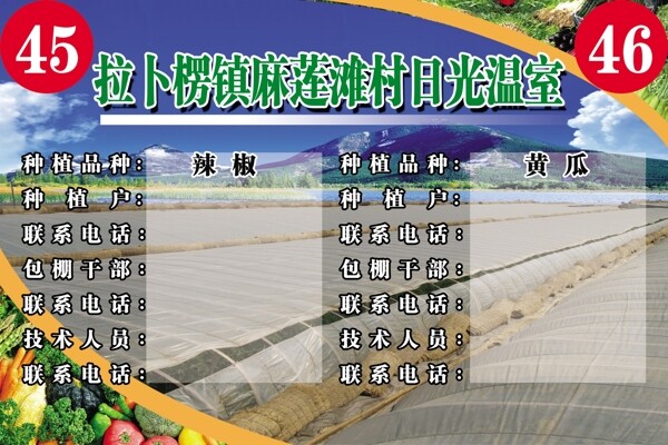 日光溫室圖片