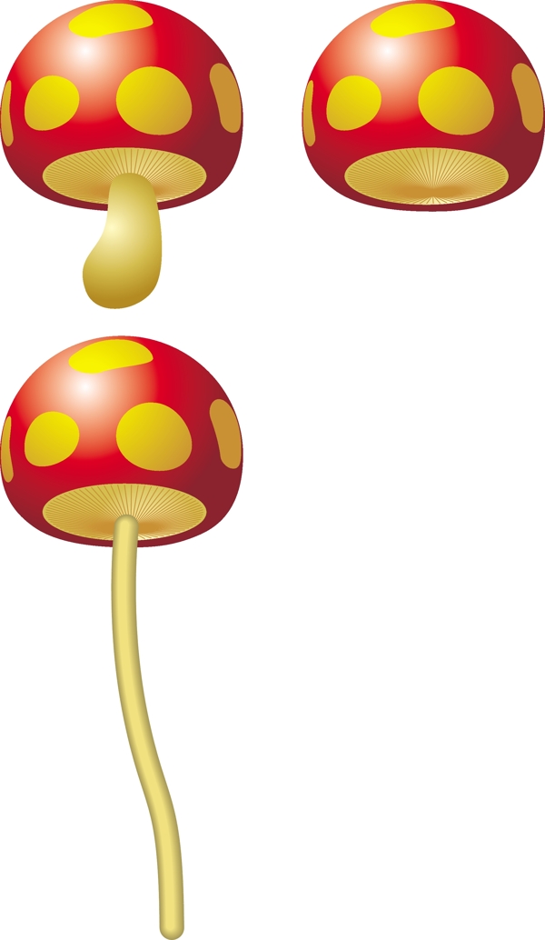 蘑菇