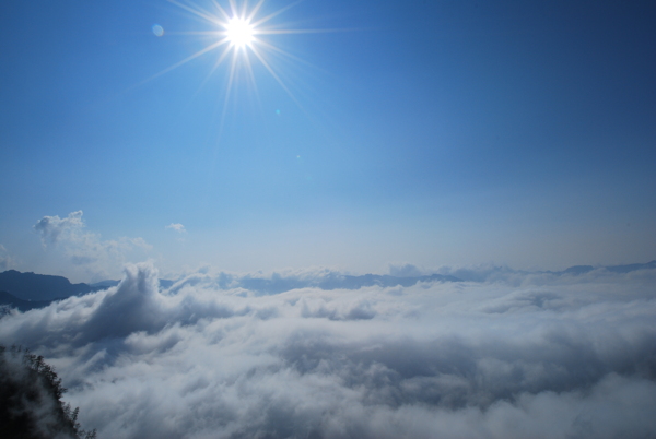 阿里山雲海图片