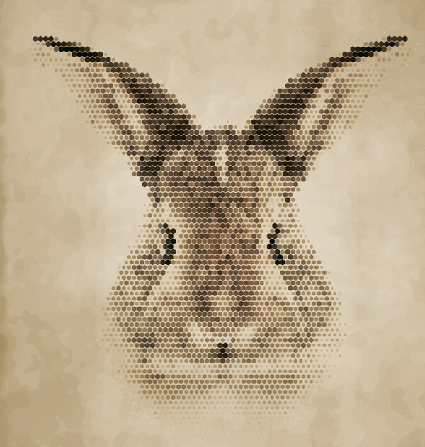 动物头像兔子图片