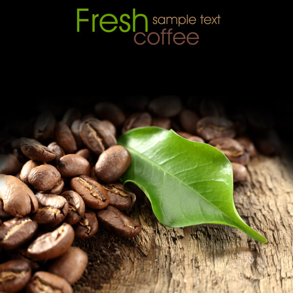 咖啡豆与树叶图片