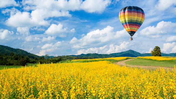 田园上空的热气球
