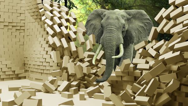大象3D立体电视背景墙画jpg
